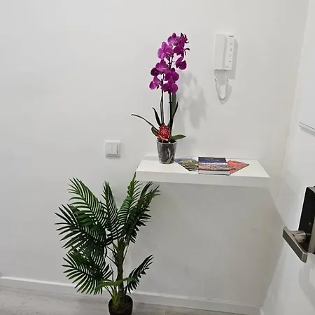 Time Off Madeira Appartement *